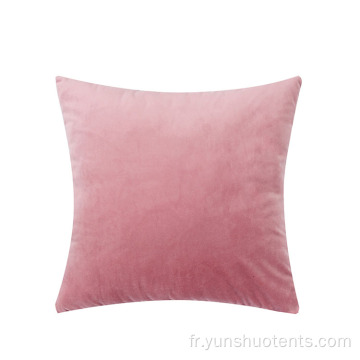 Coussin de canapé d&#39;intérieur en velours d&#39;oreiller de photographie